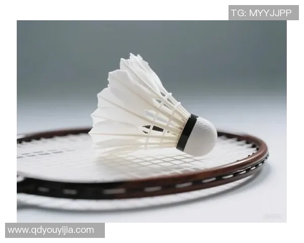 羽毛球逆袭之路：广州羽毛球队的奋斗与荣耀全纪录